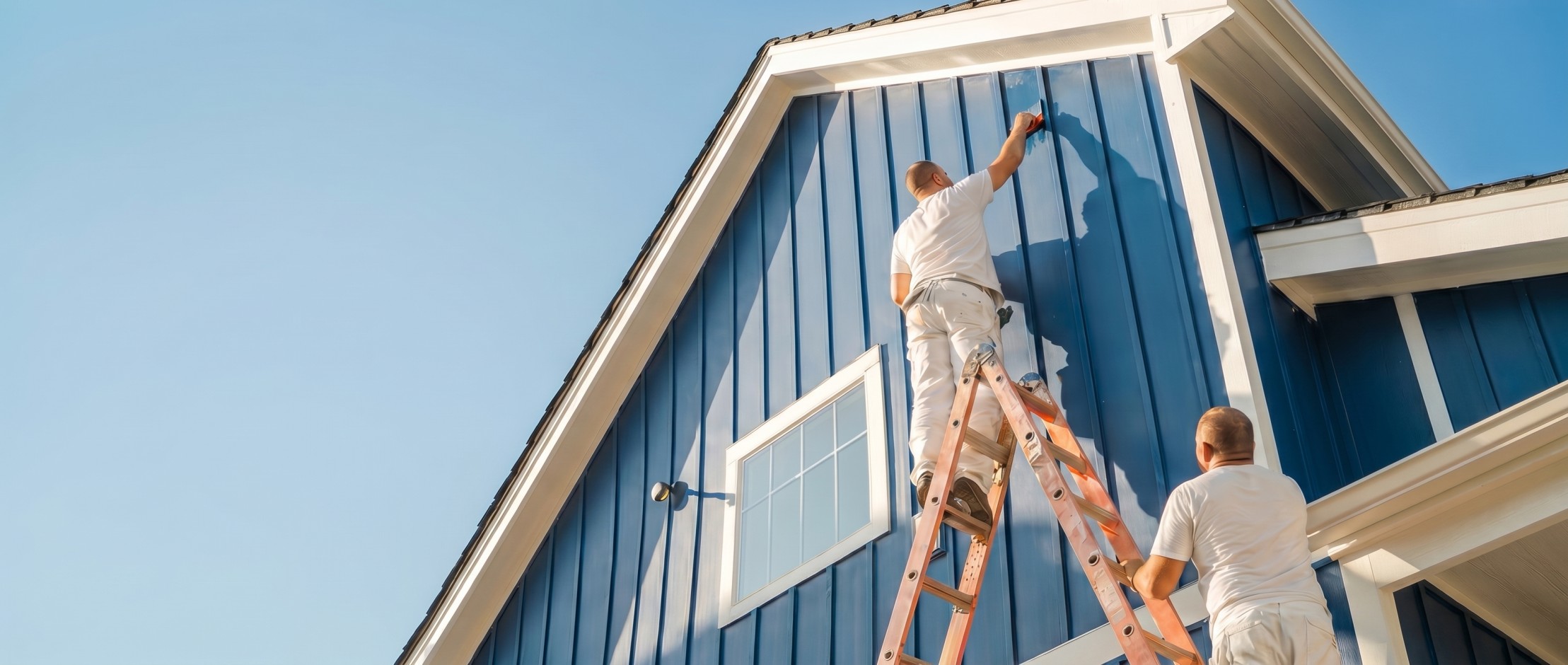 Flex Coatings Project